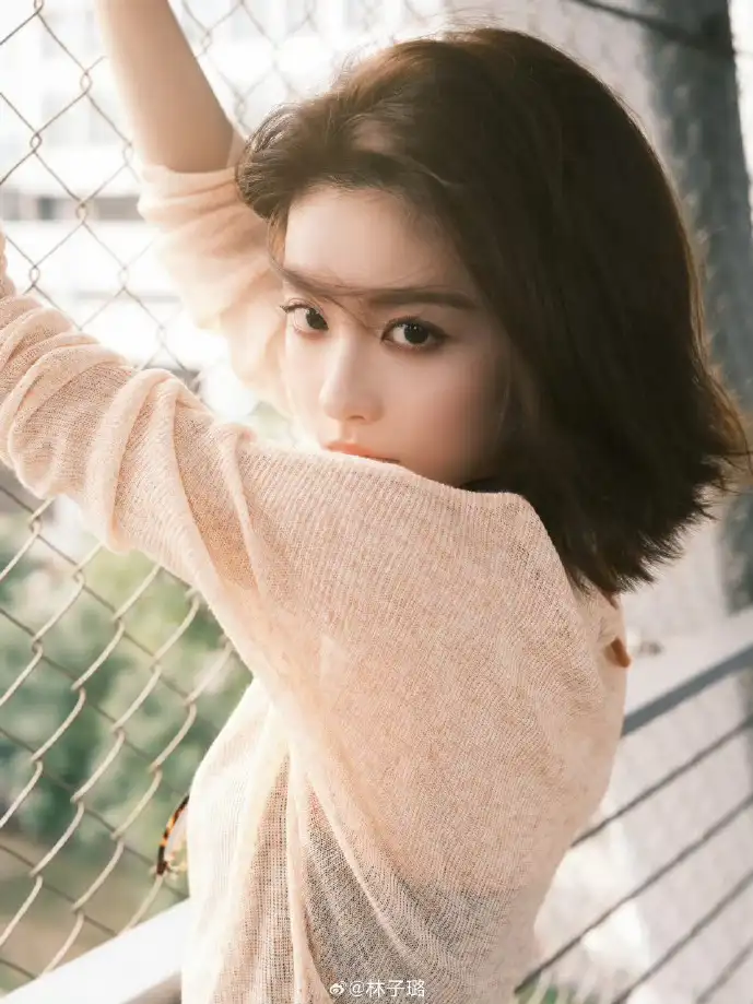 课程帮下载界面